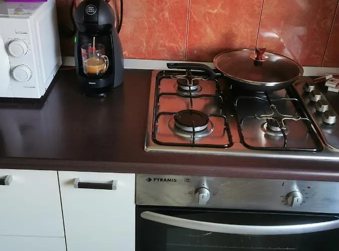 Bertigart Studio Apartment Bucureşti
